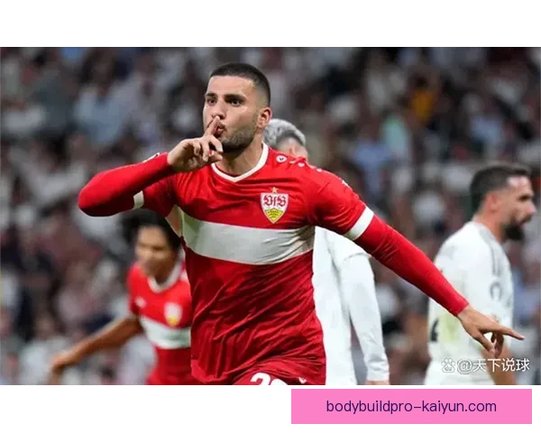 国米队史射手榜：意甲历史最佳射手表现稳健传奇纪录